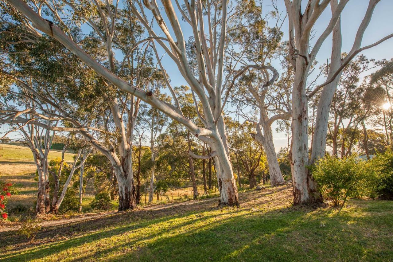 Discovery Parks - Hahndorf Exteriér fotografie